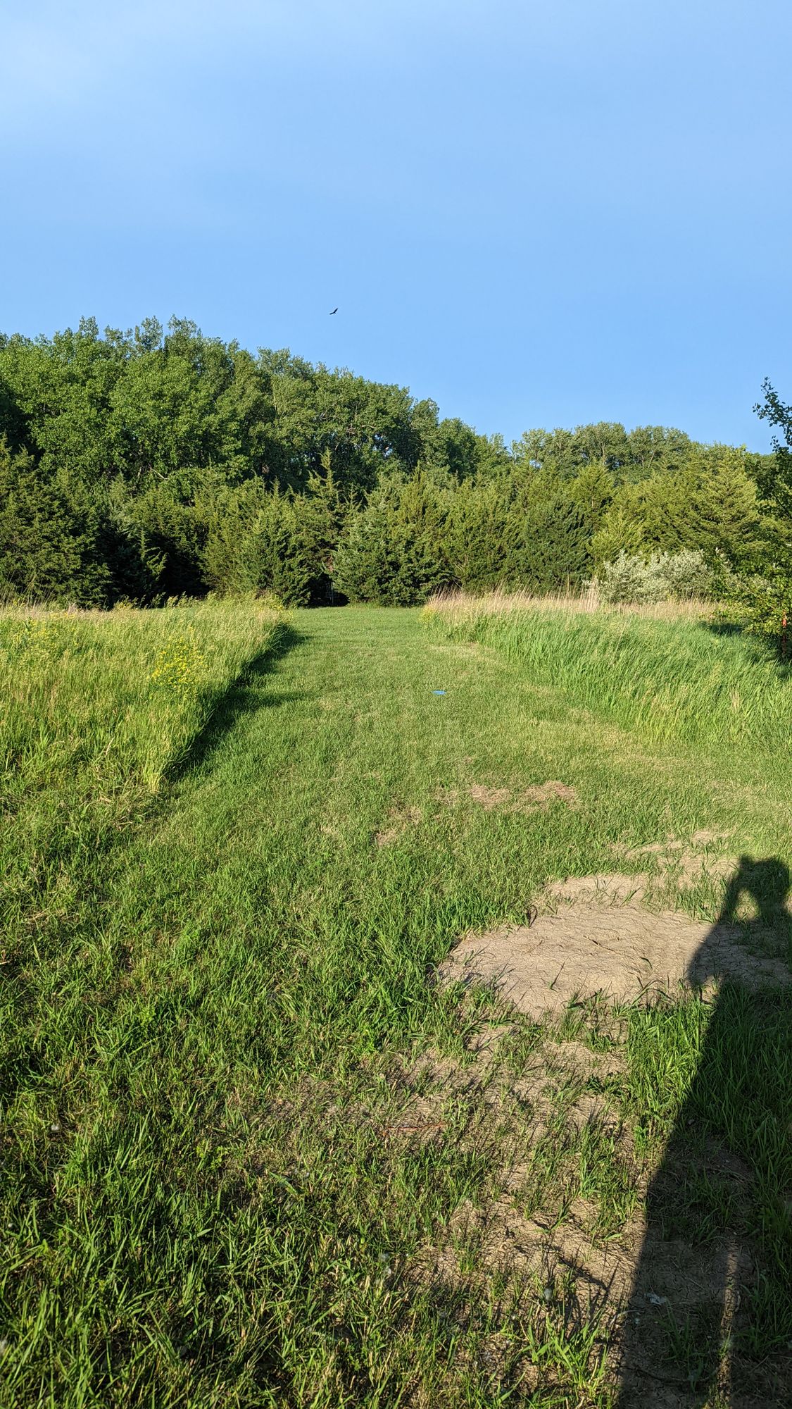 Hole #4. No teepads, so assume pad is 20'-30' past basket #3