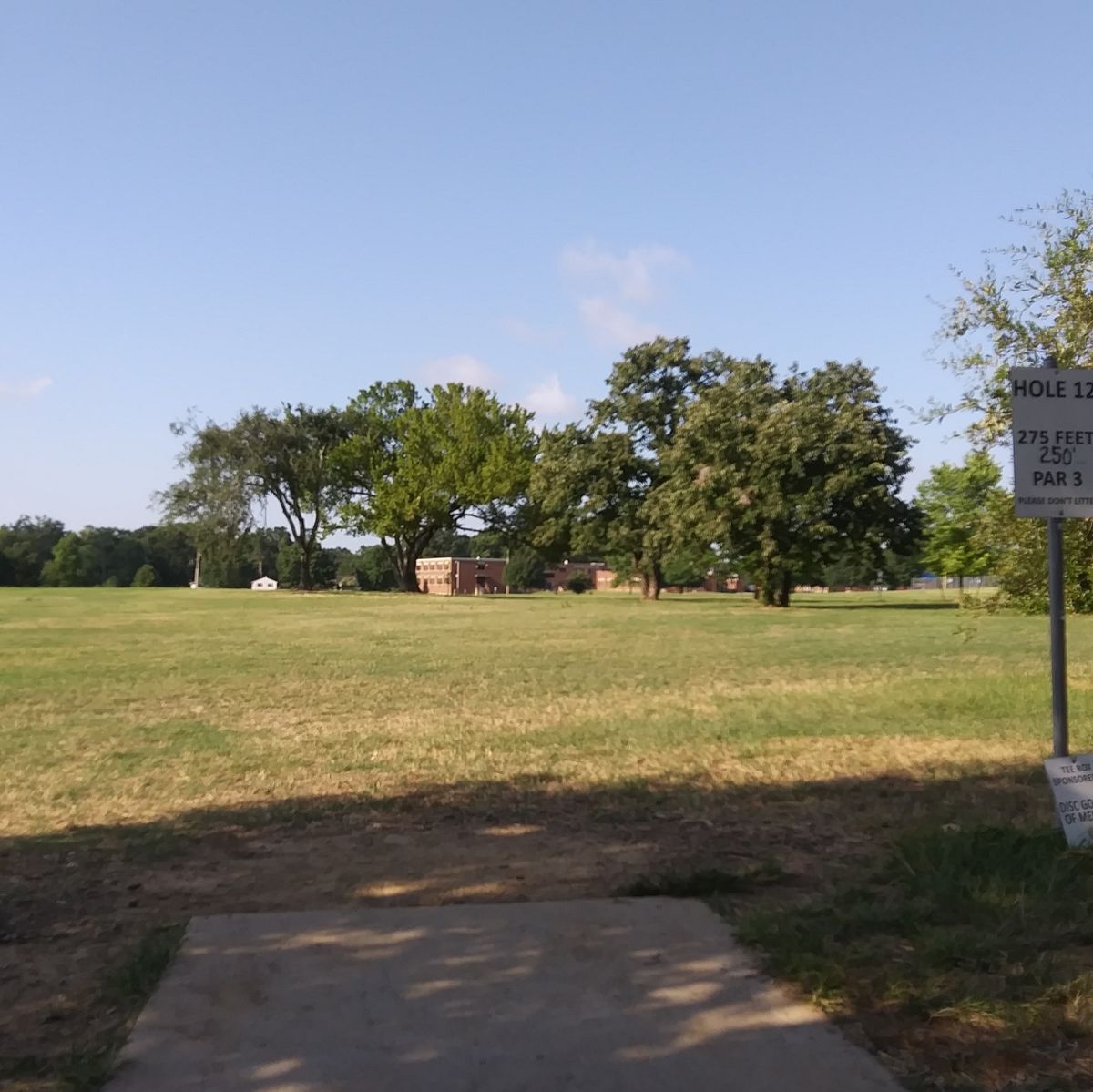 Hole 12's basket has a beautiful umbrella-like tree hovering over it.