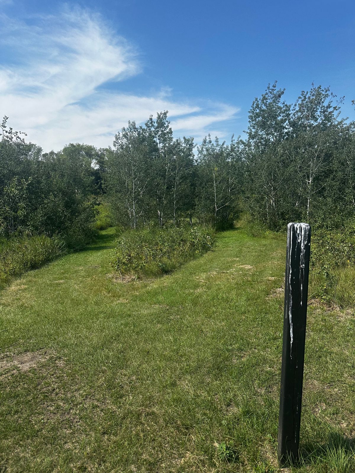 Hole 4