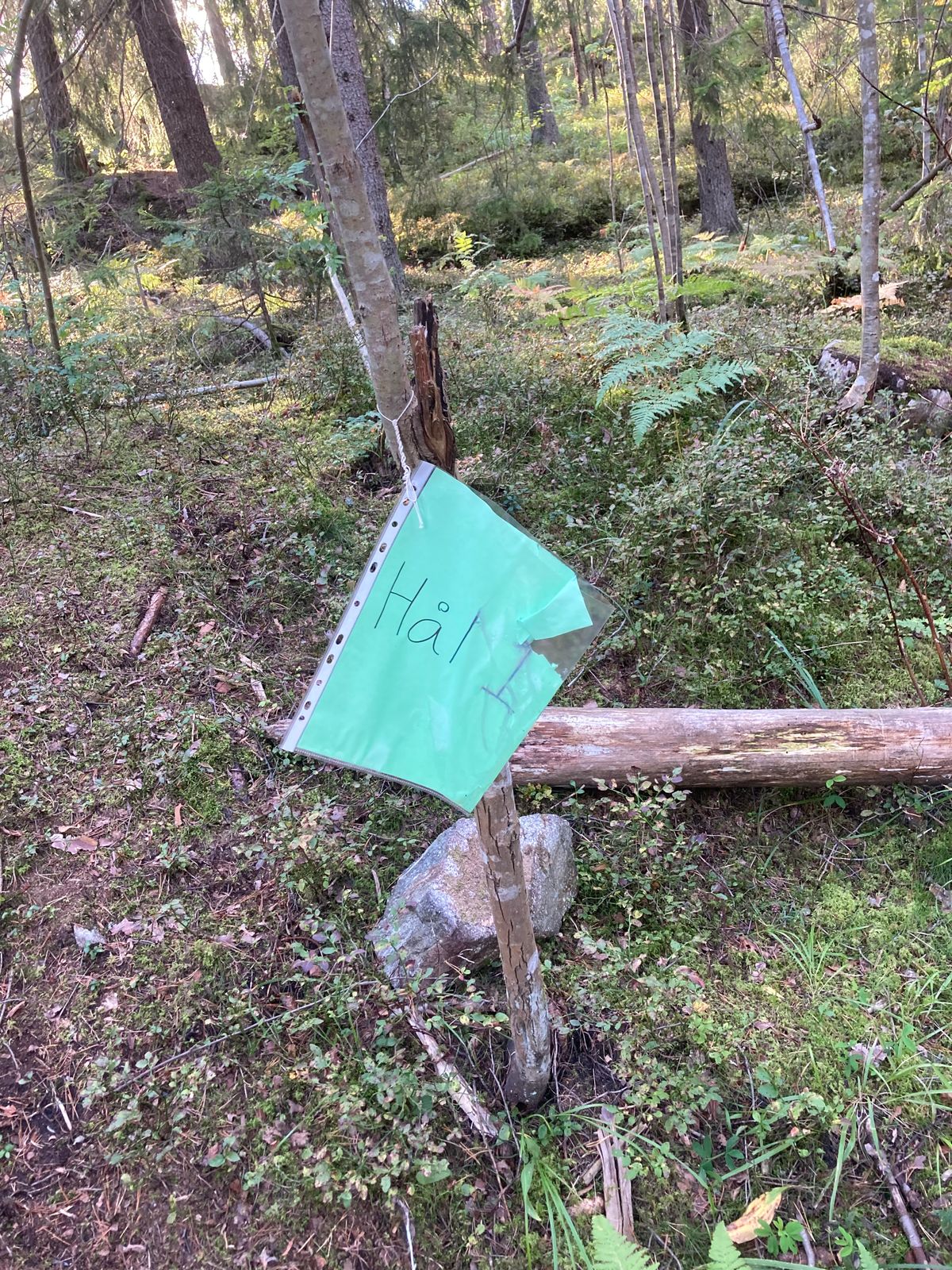 Hål 1