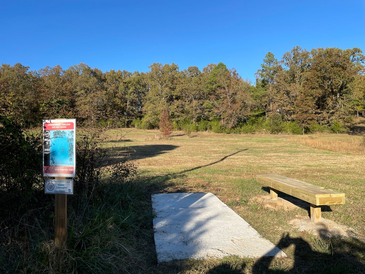 Tee pad for hole 8
