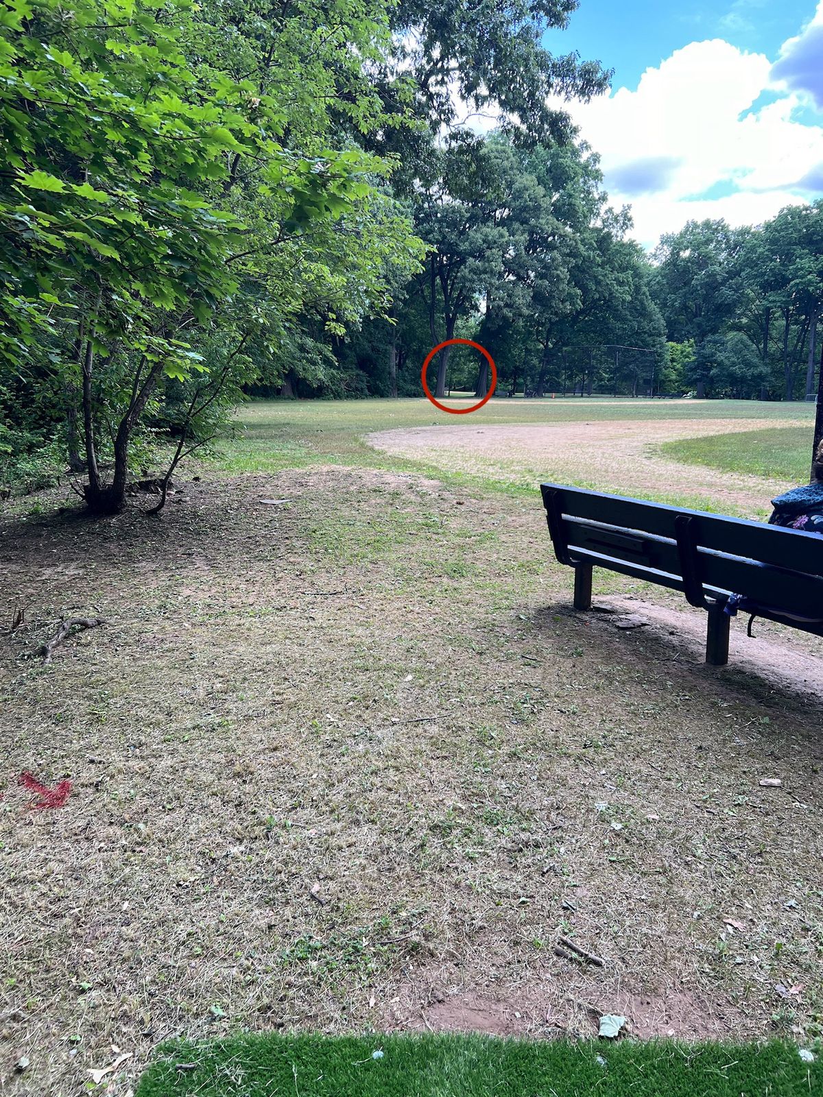 Hole 10 (optional, if field is not in use).