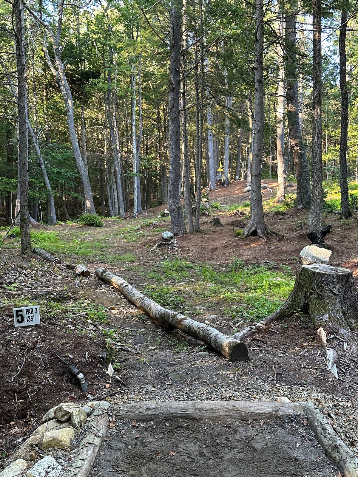 Hole 5 - Par 3 - 135’
