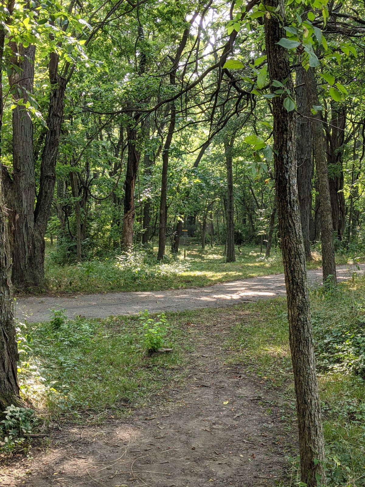 Tee 8