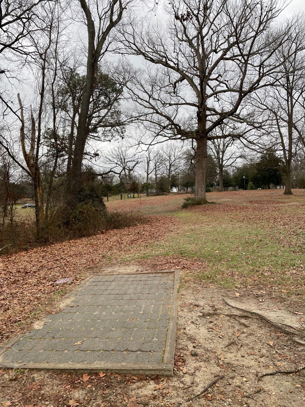 Fairway 3
January 1, 2024
