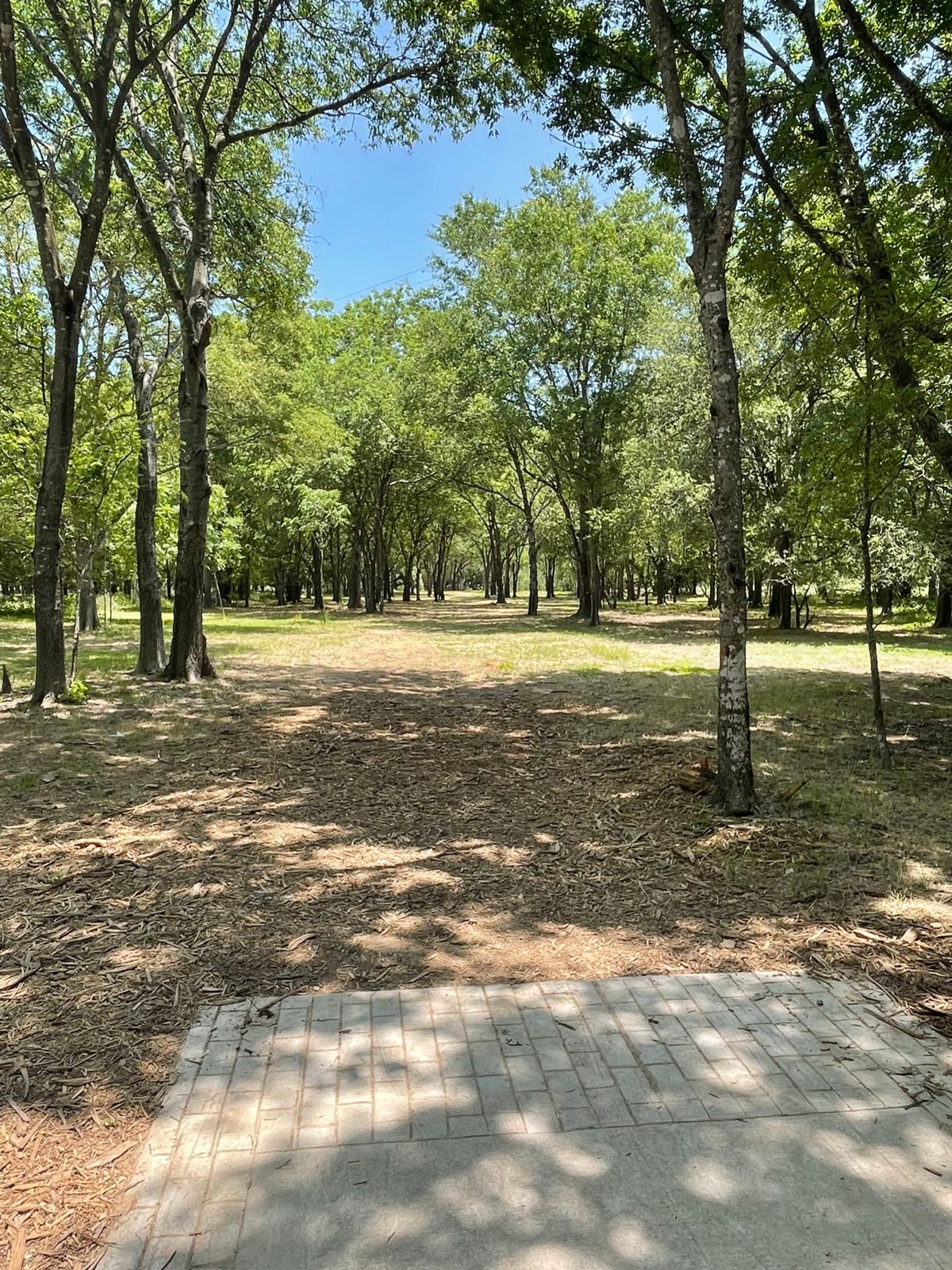 Short teebox