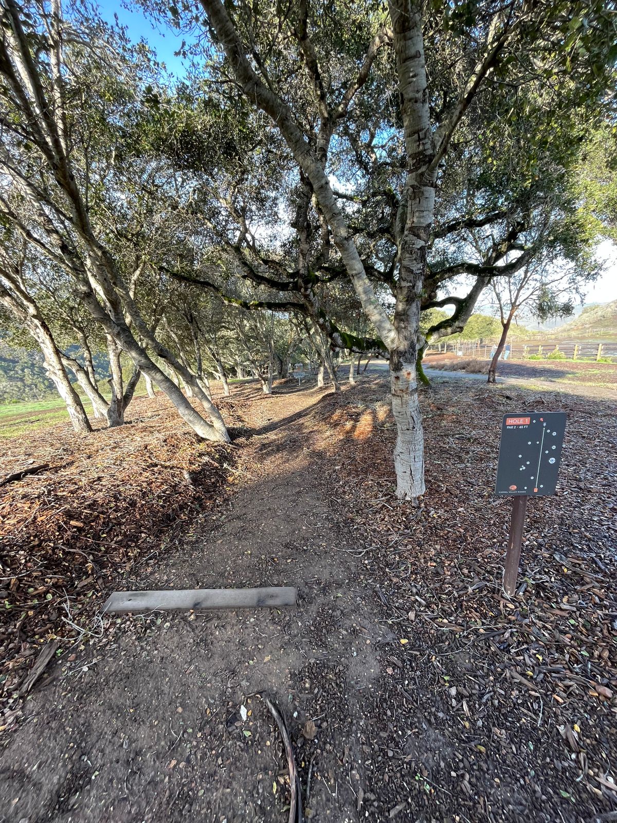 Hole 1 tee - par 2 65 ft