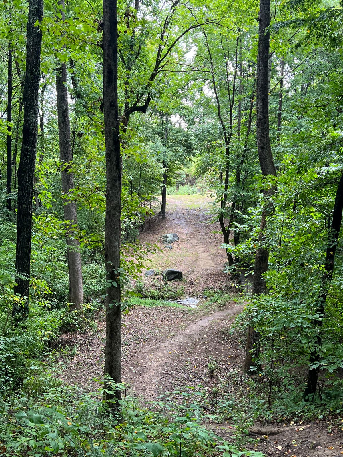Huge elevation drop on hole #18