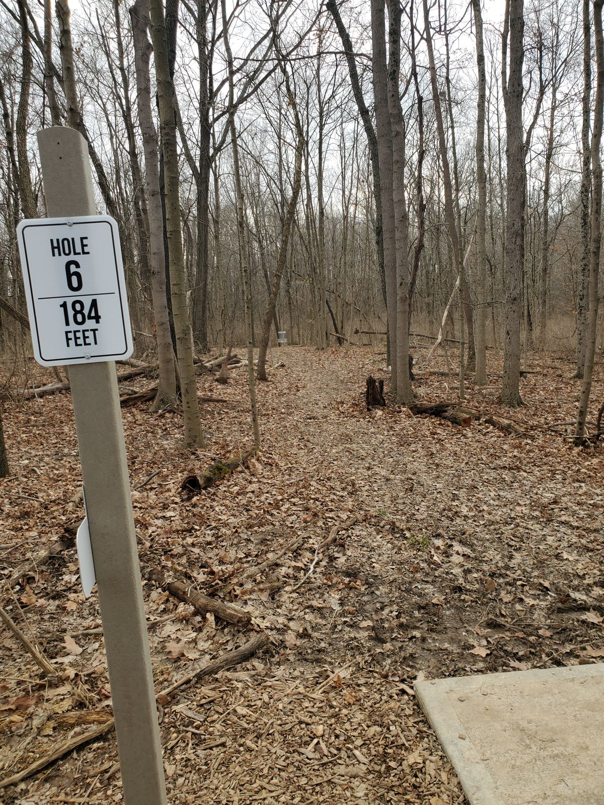 Hole 6 184ft