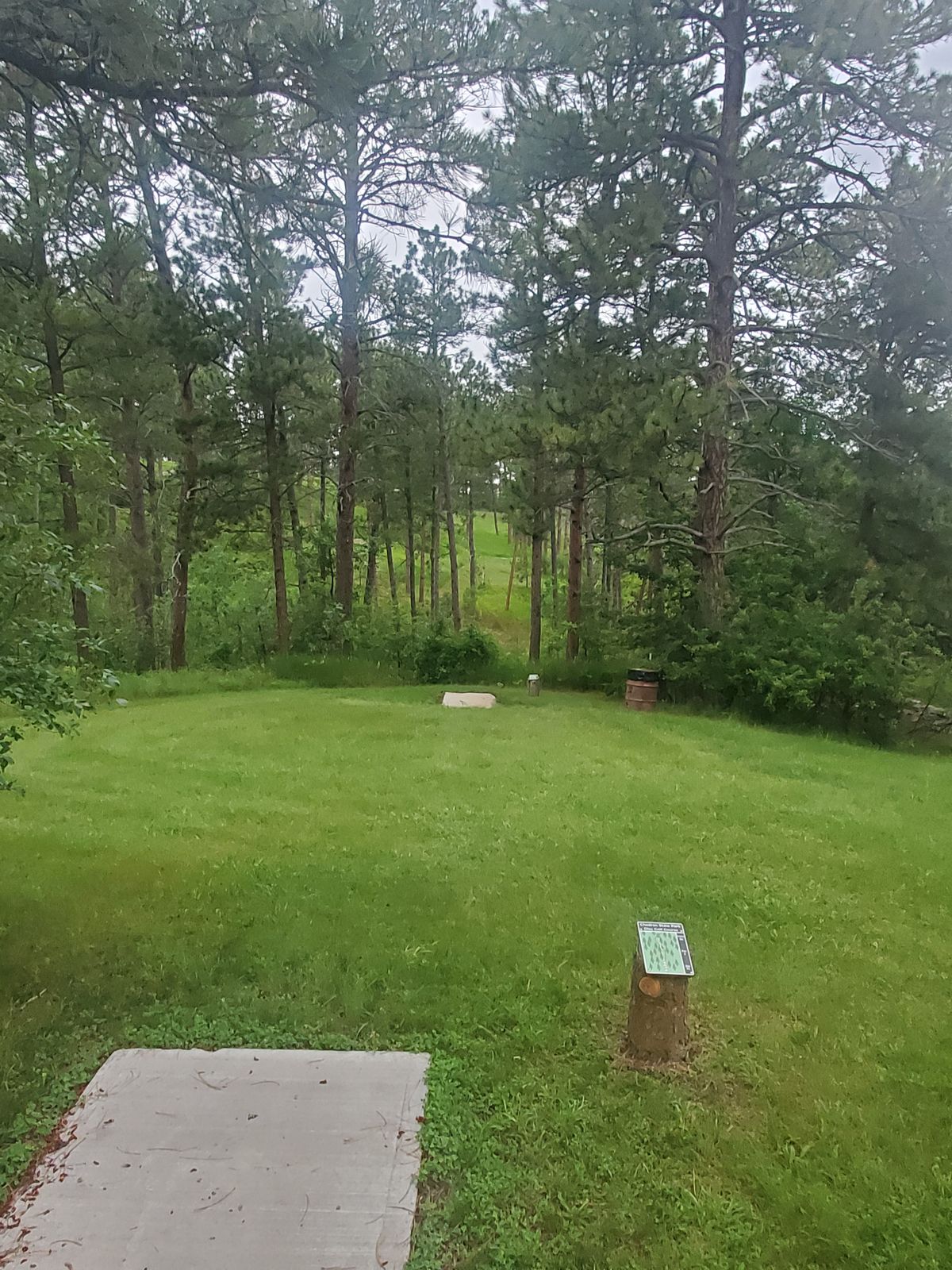Hole 8
