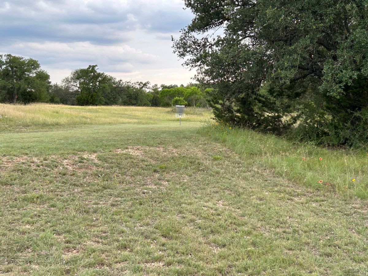 Hole 5 Basket