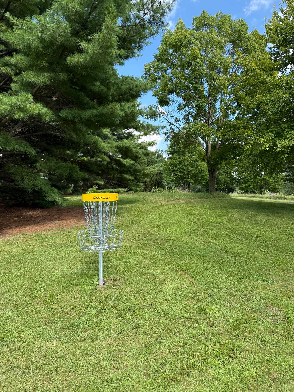 Hole 2 basket looking back toward tee