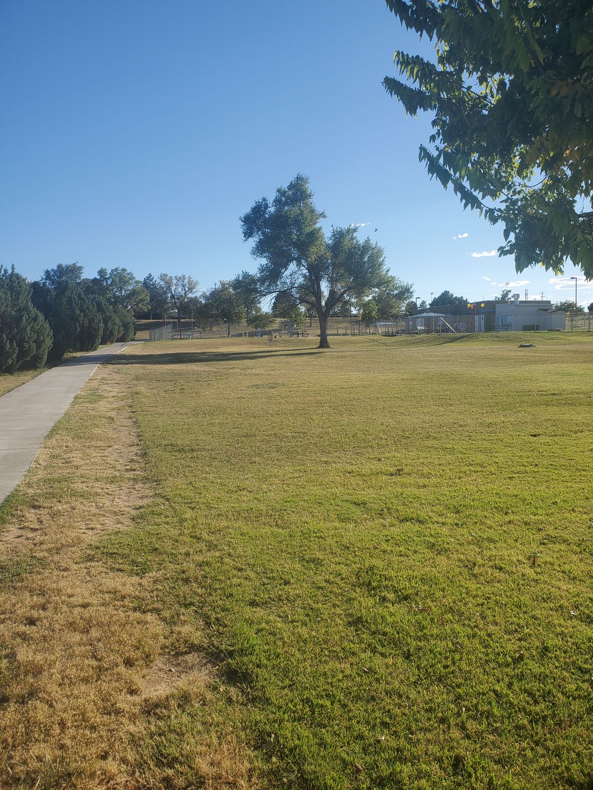 Hole 8