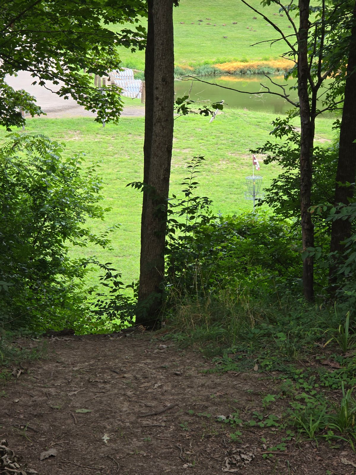 Hole 16 tee shot