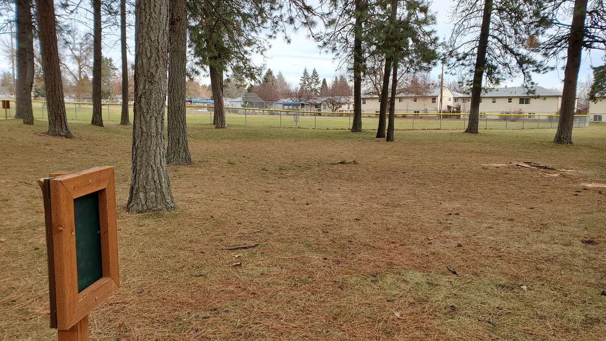 Tee pad 4