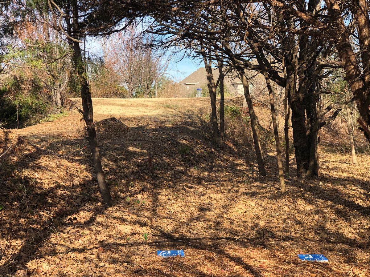 Hole 3 blue tee