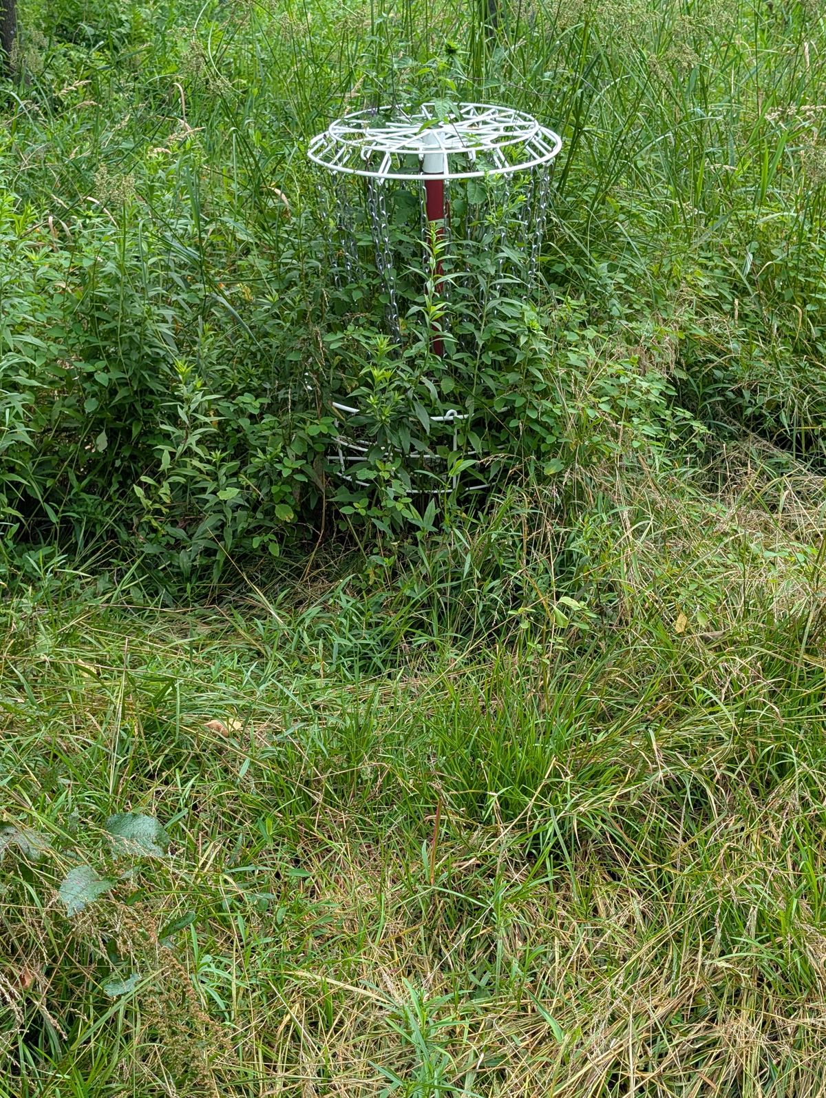 Hole 1 basket