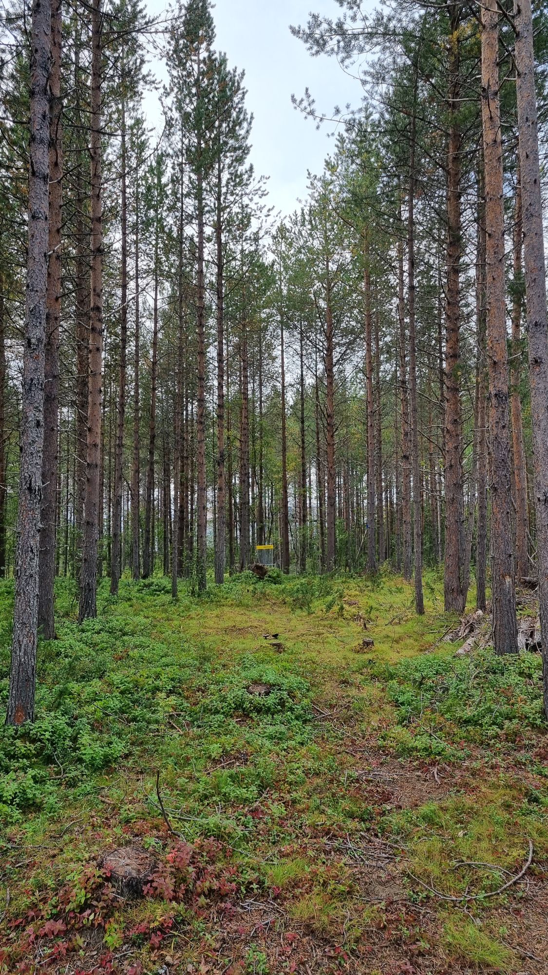 Hole 17