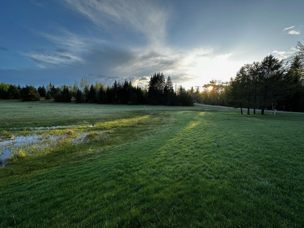 The approach to the Main and Alt pins on hole 4. The seasonal water hazard is visible on the left 📸: Jacob W.