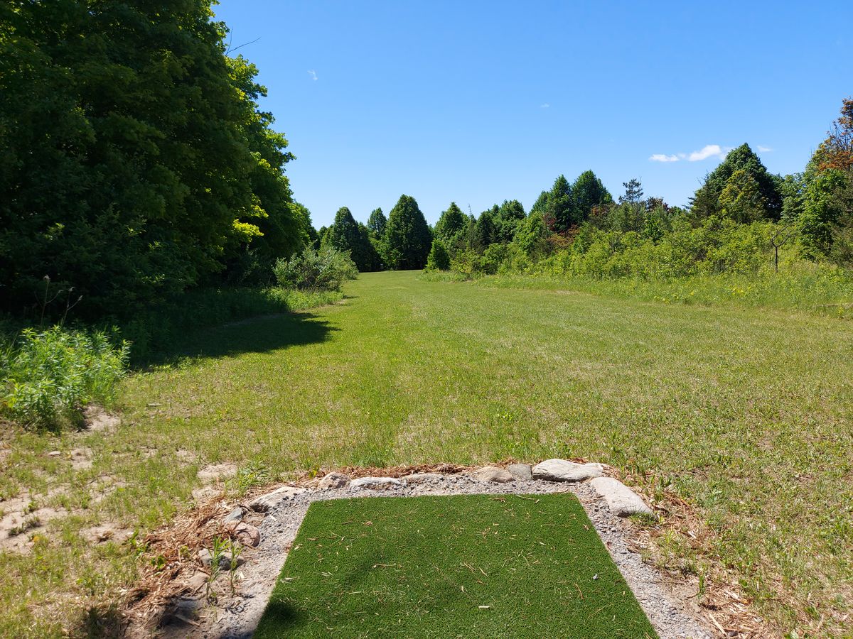Hole 2 from the long tee. 