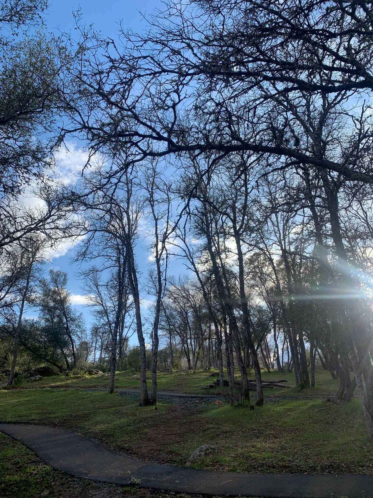 Hole 9 - uphill across paths