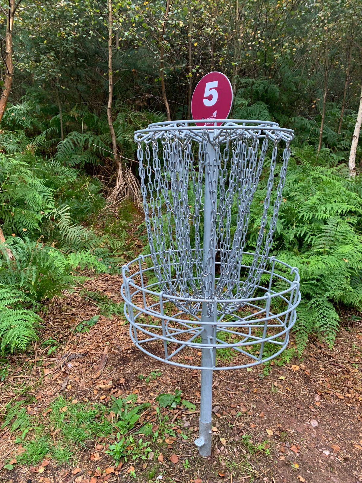 Brand new baskets!