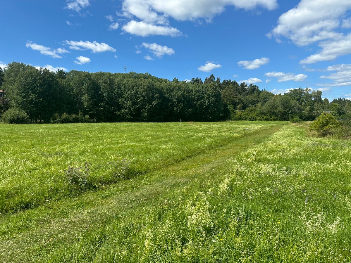 View from ”tee” 4/6