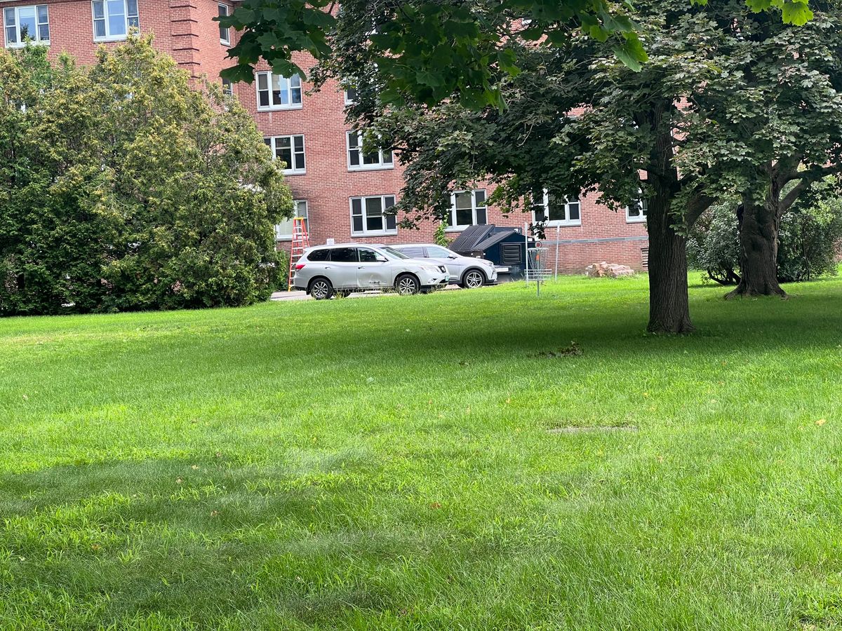 Hole 5 basket