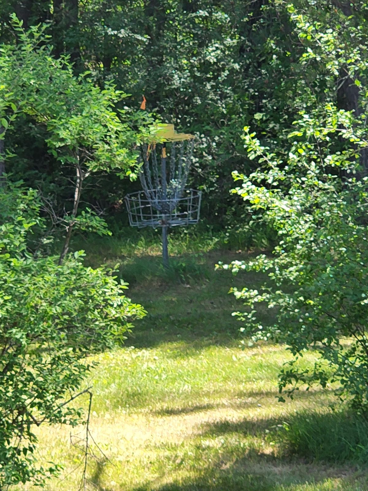 Hole 5 Close-Up