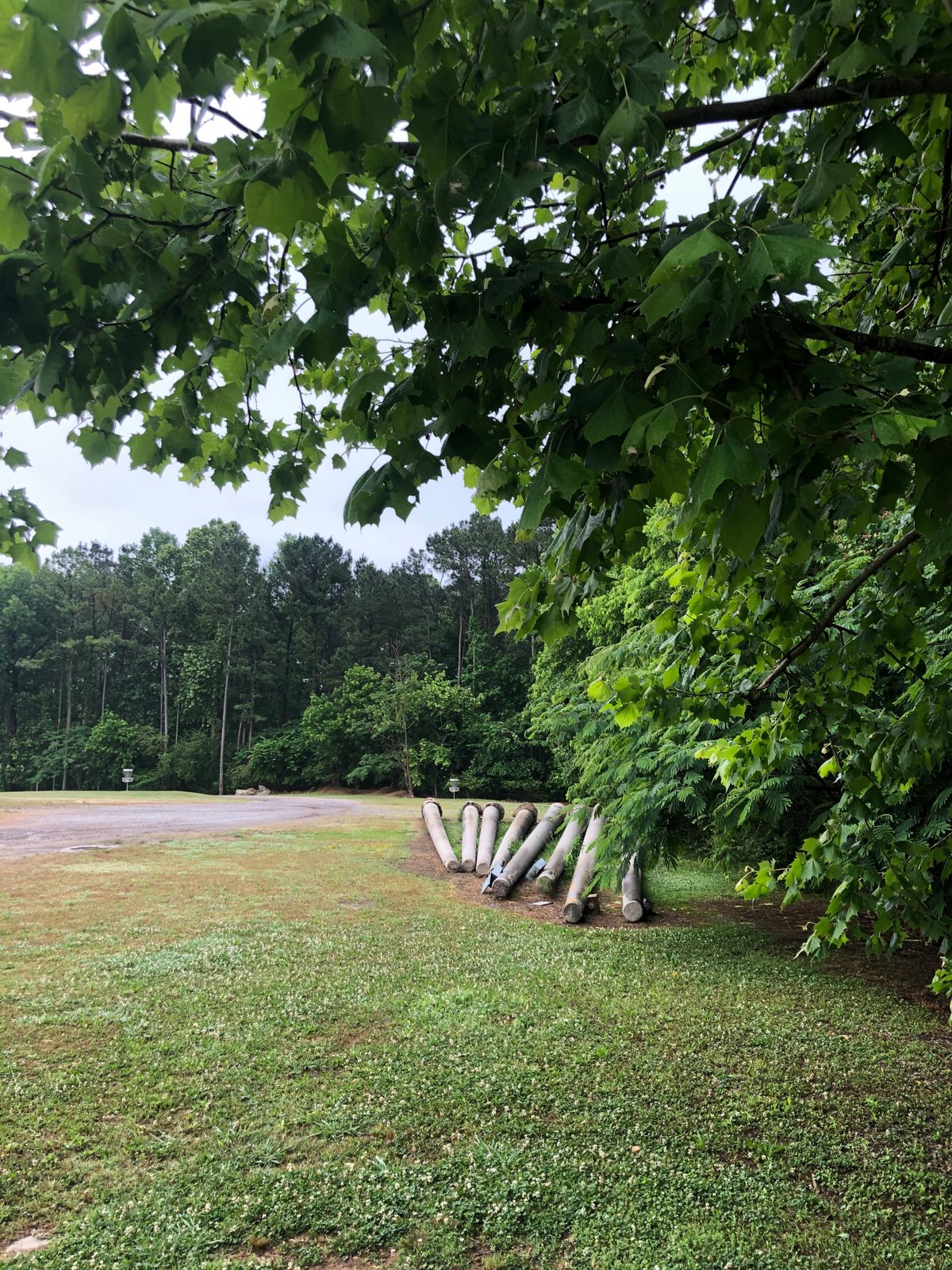 Hole 4