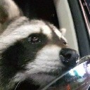 User avatar image