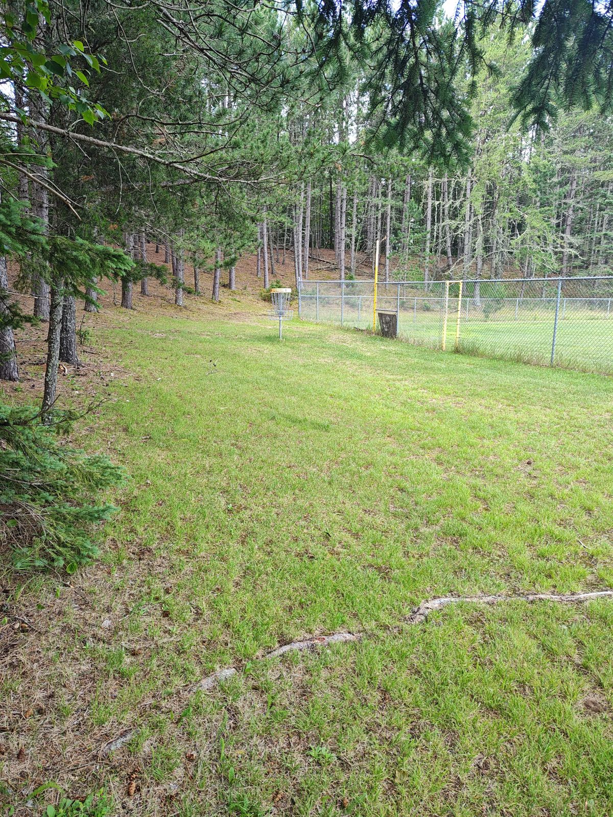 Hole 1 yellow basket