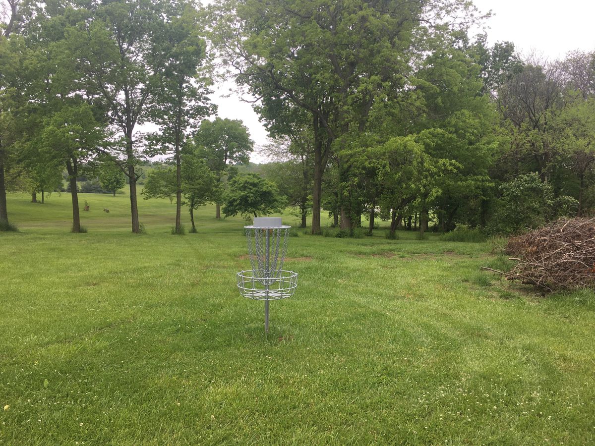 Hole 14 basket