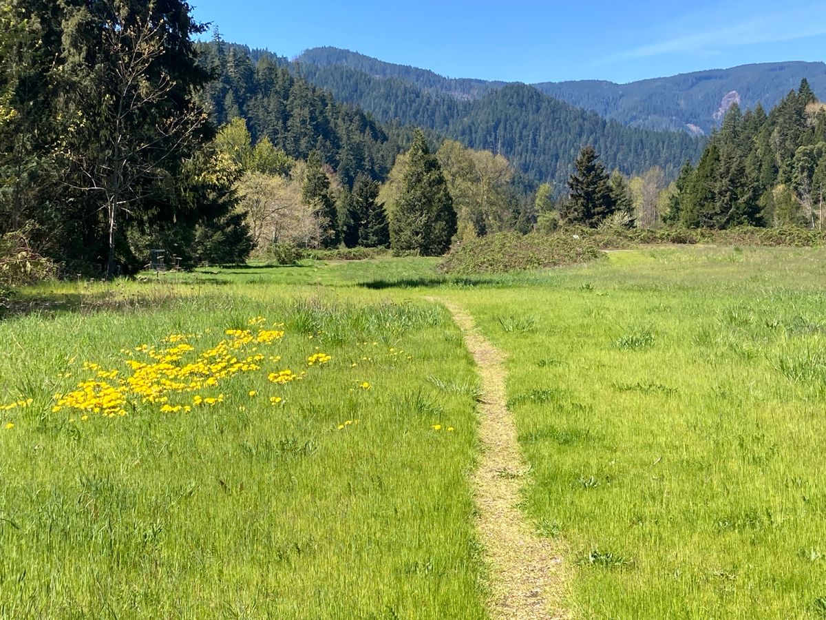 Mountain trail?
