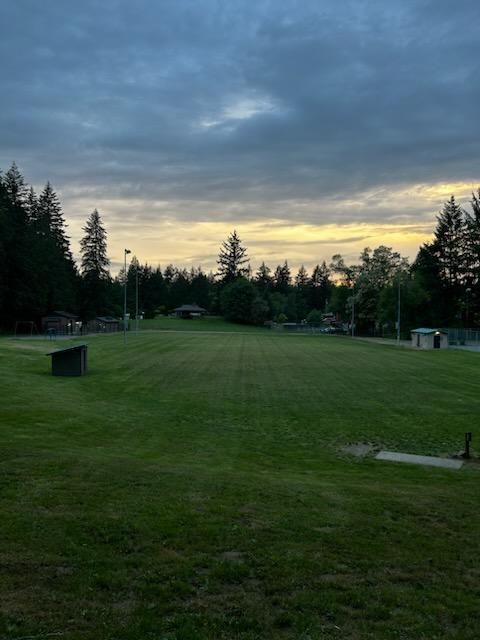 Lower Field

