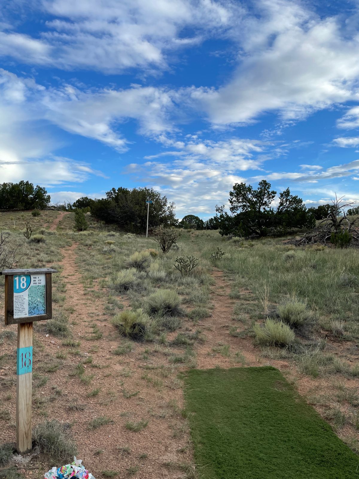 Hole 18 Pro tee pad