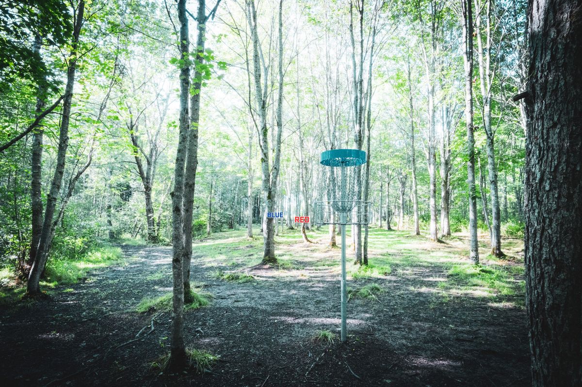 Hole 5 Basket facing tee pads. 
