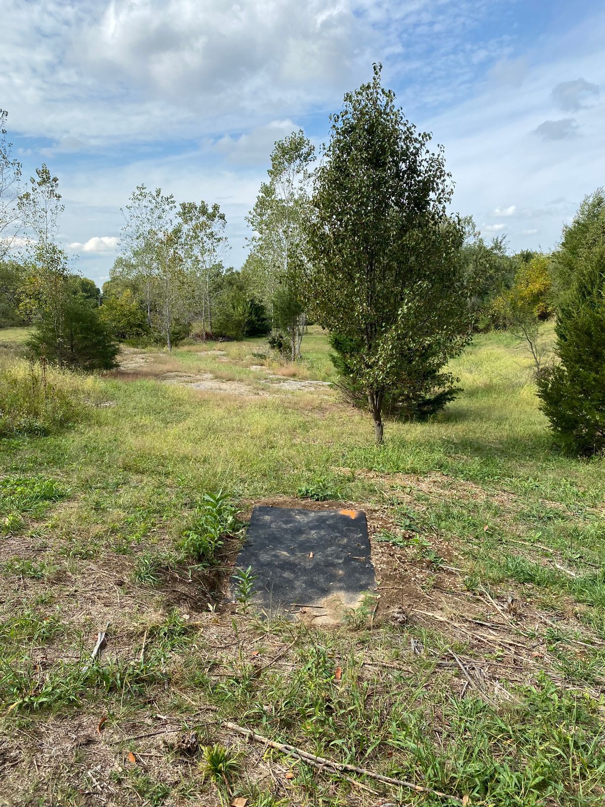 Hole 9 tee