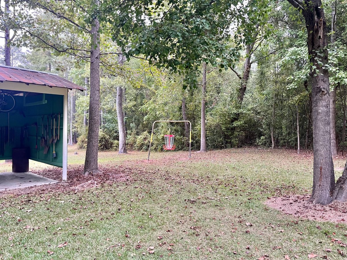 Hole 10 Basket