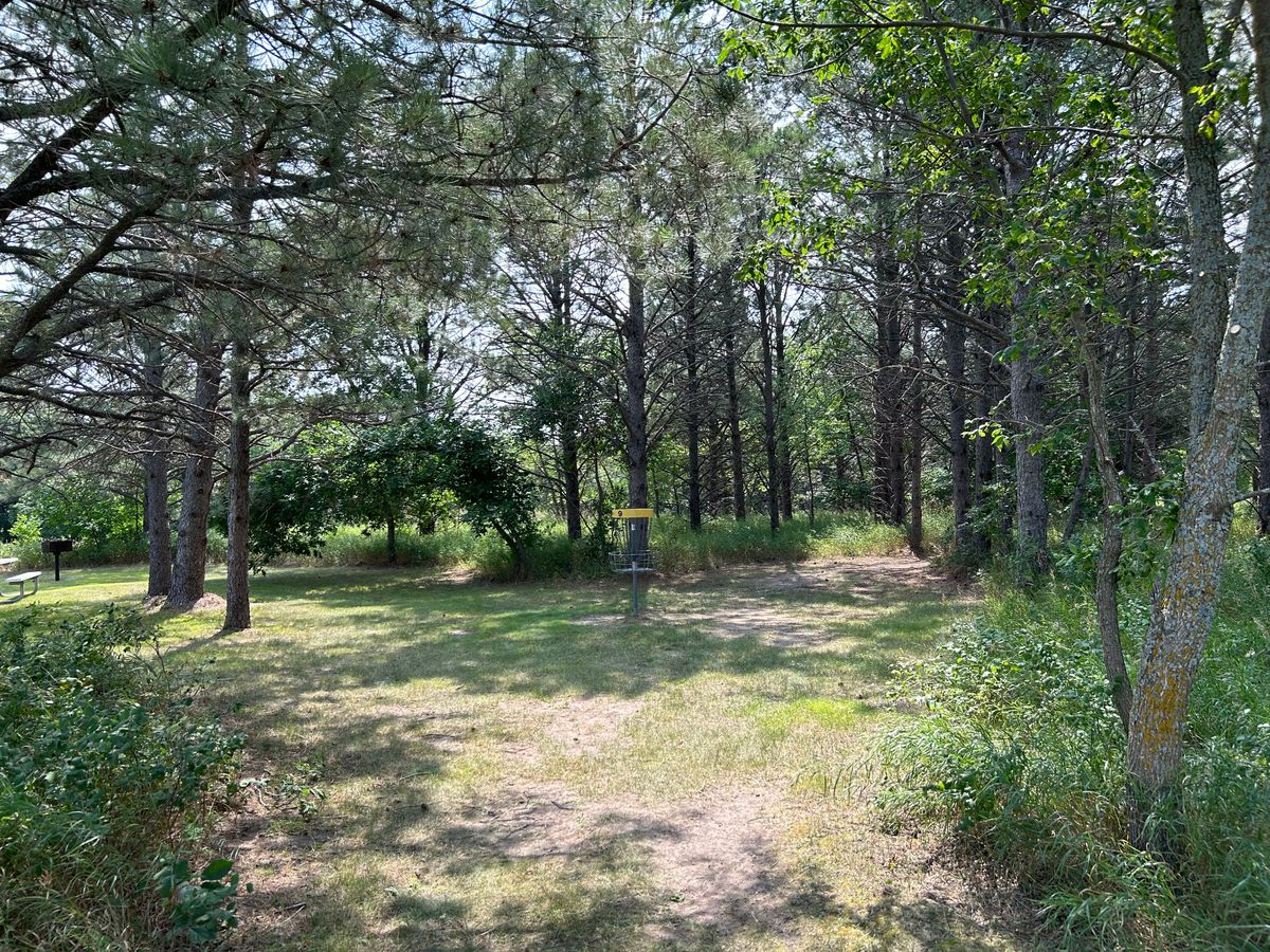 Hole 9 nestled under the pines
