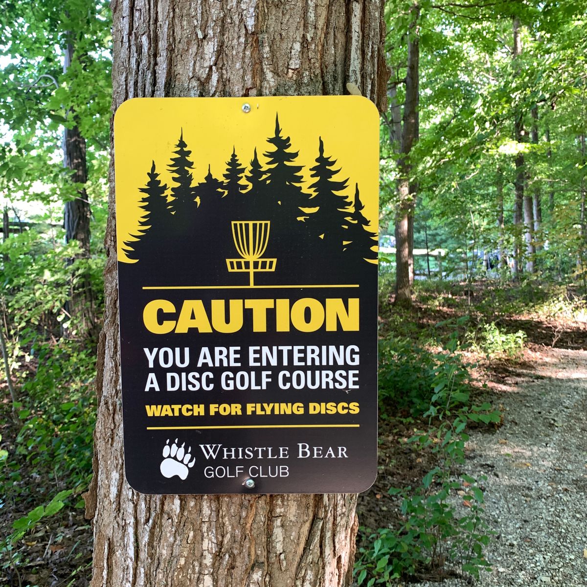 Whistle Bear Aceplace