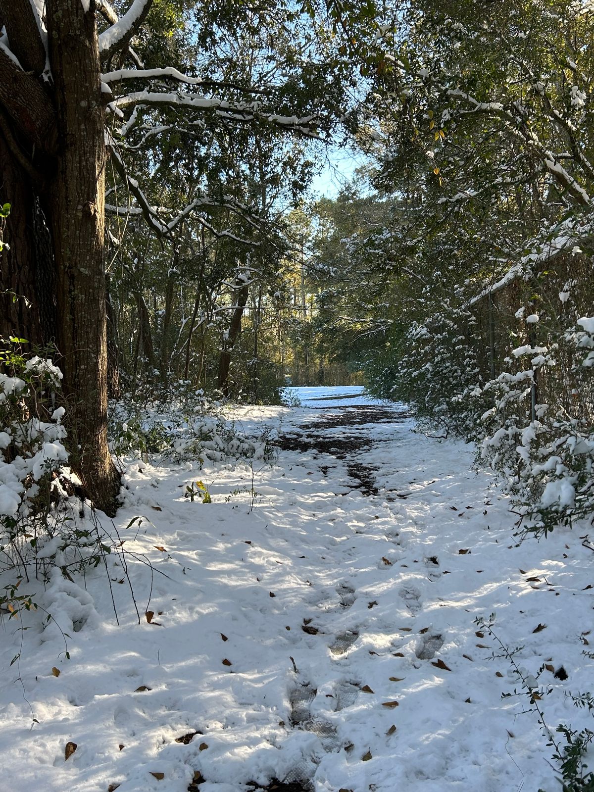 Hole 5