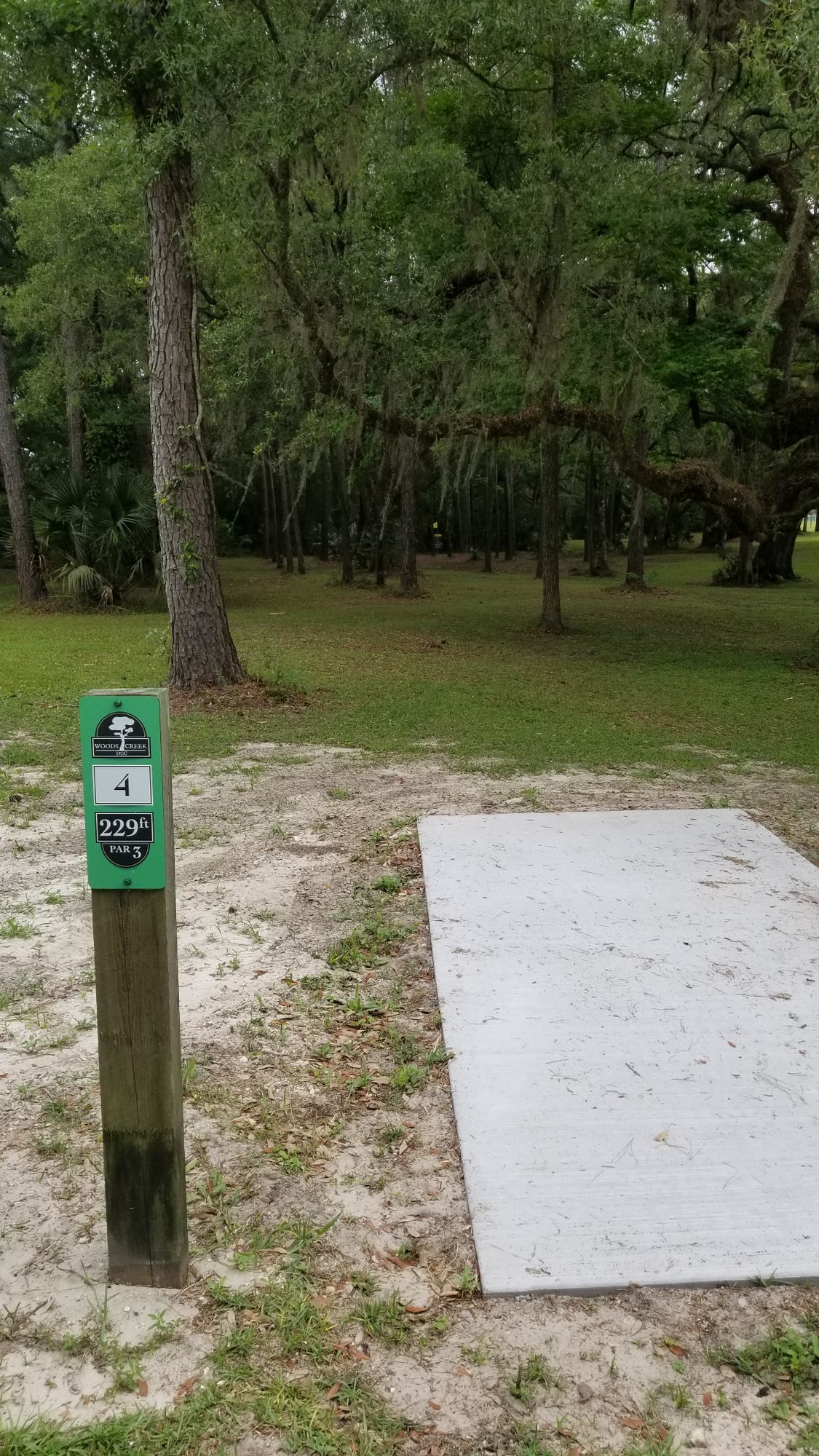 Hole 4, view from teepad. Shot placement is key!