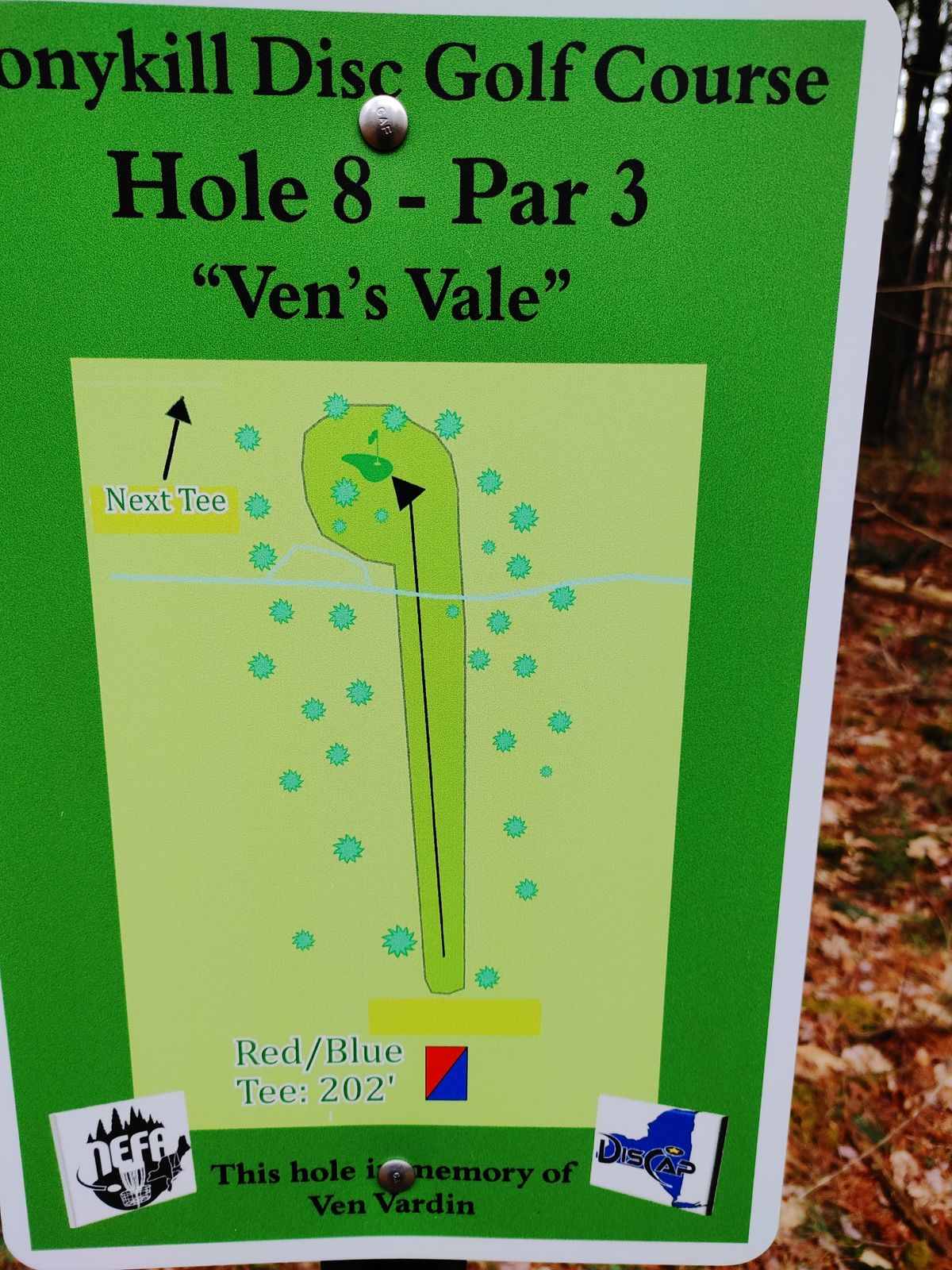 Hole 8 map