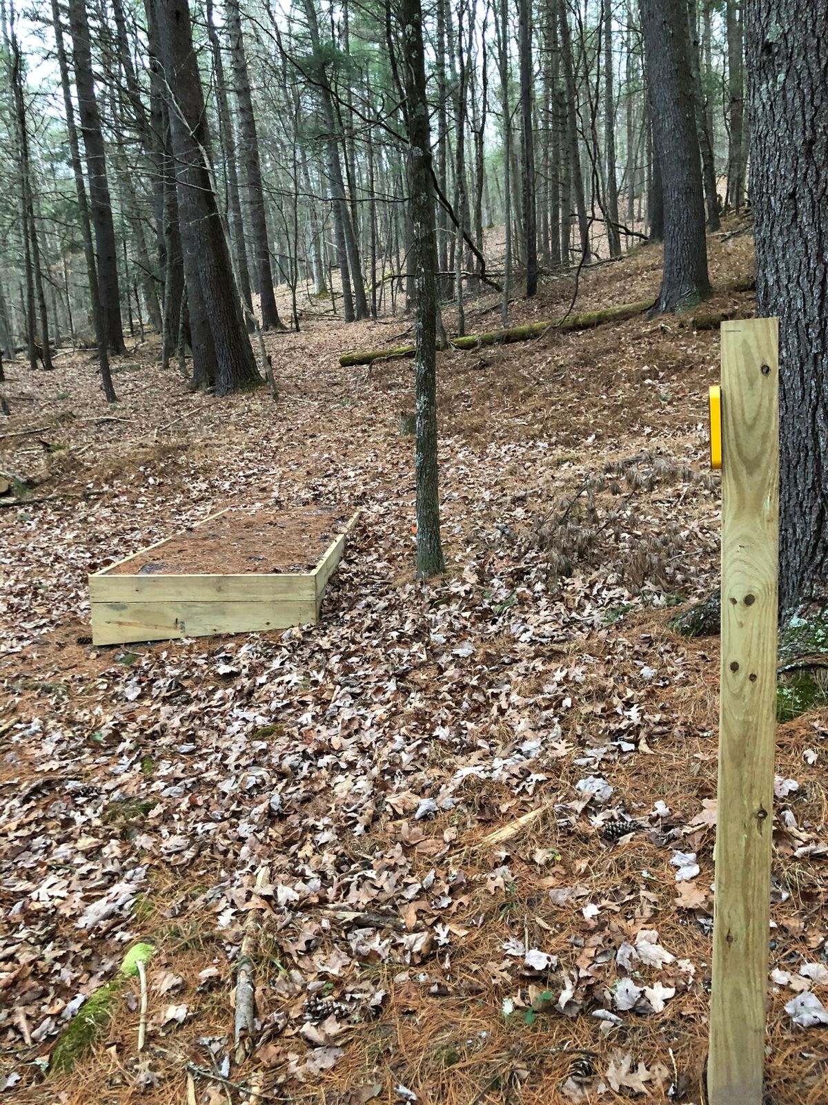 Tee Box 15 -long dogleg left, basket sits down over small ridge