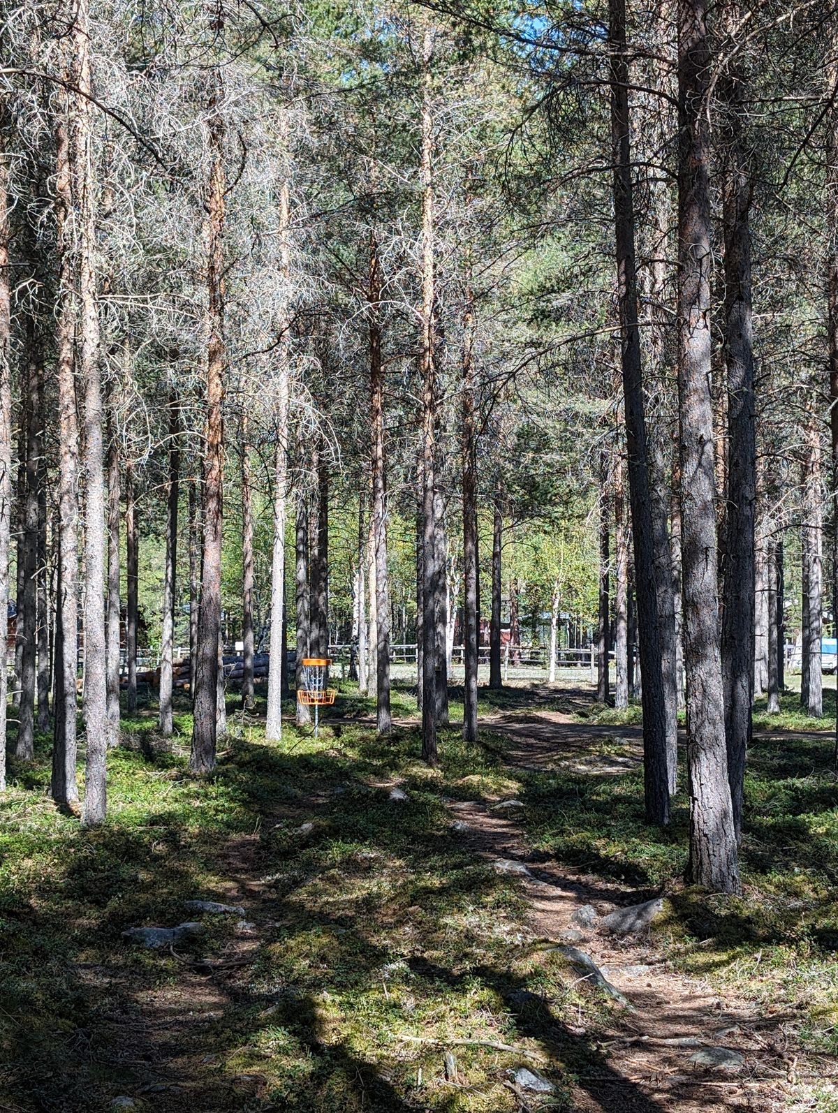 Hole 9