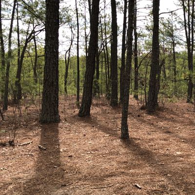 Hole 1