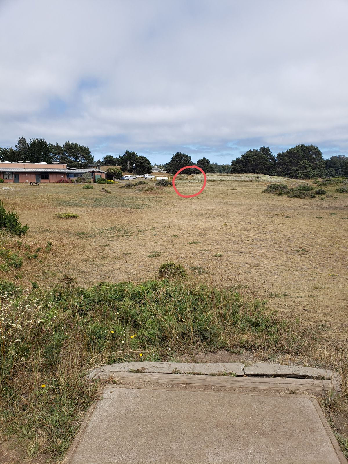 Hole 14