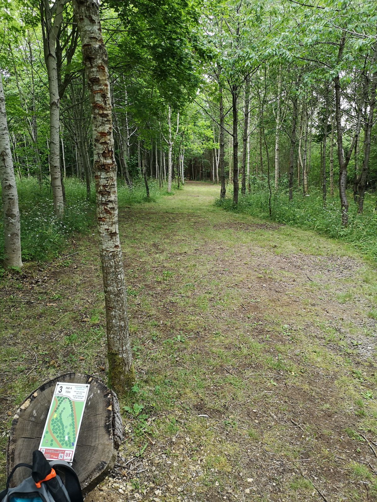 View from White Tee Hole 3