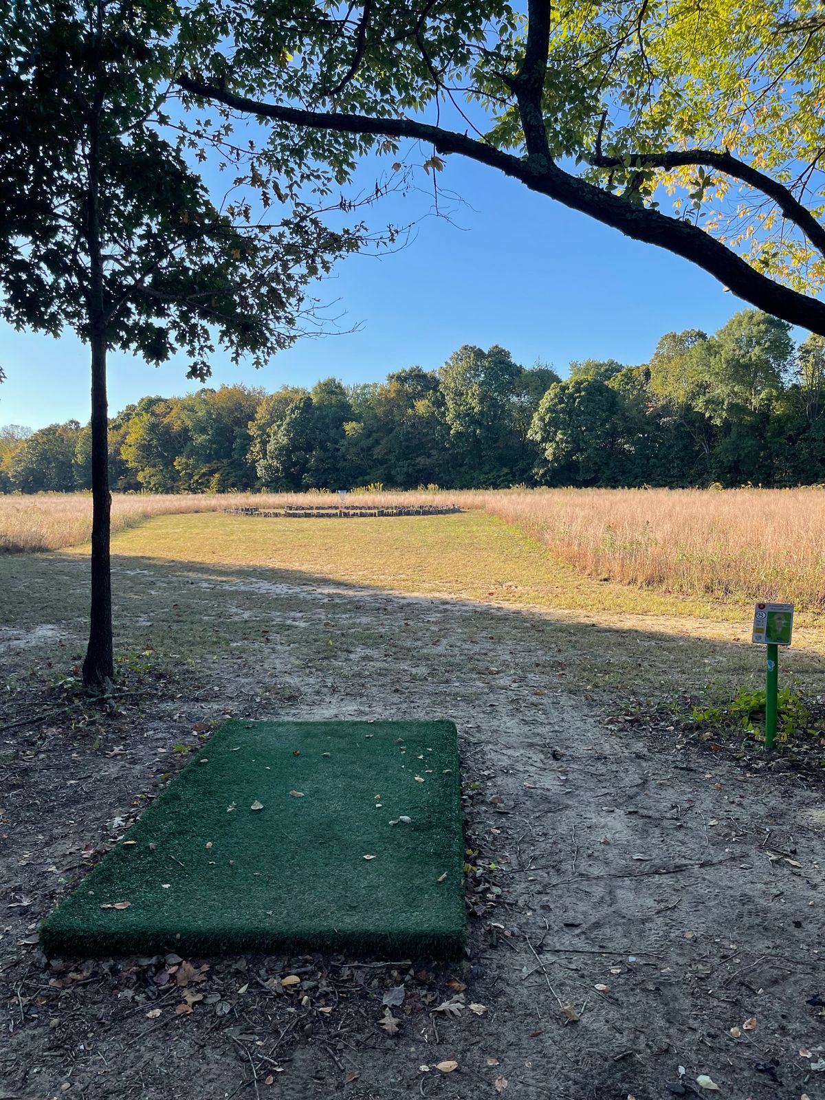 Hole 8 island